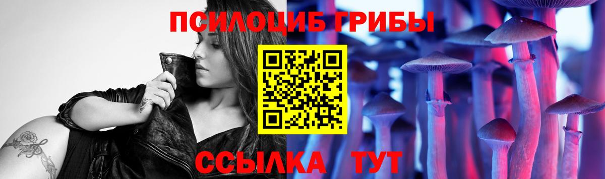 Галлюциногенные грибы мухоморы  Вход с VPN  Чапаевск  Галлюциногенные грибы Psilocybine cubensis 